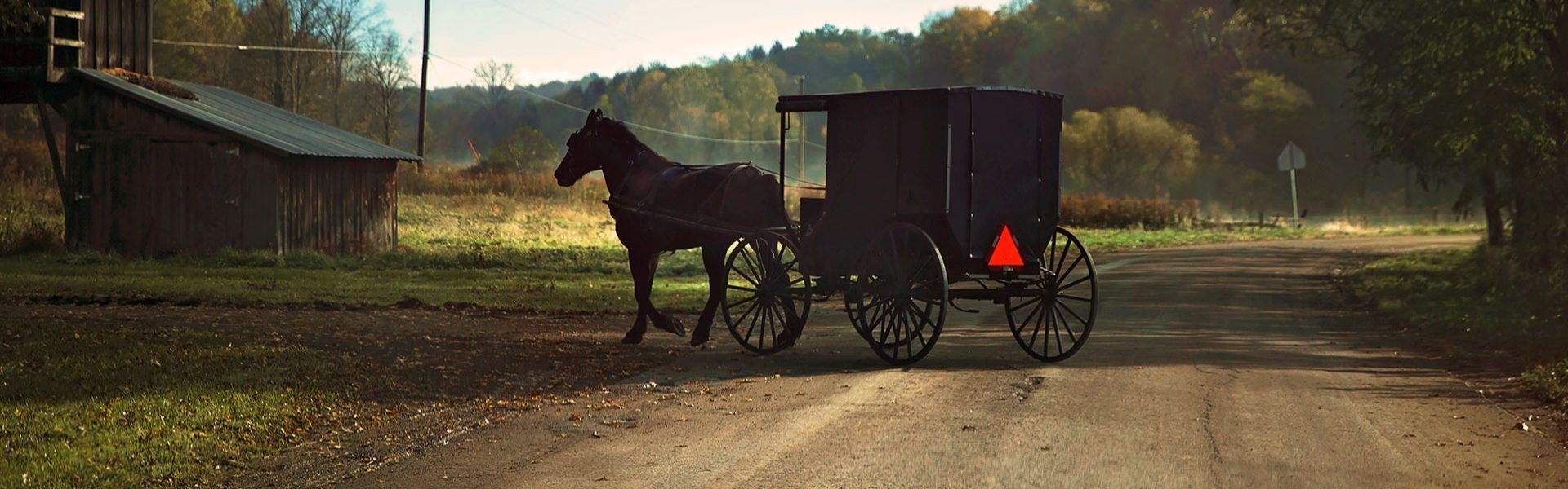 A horse and carriage